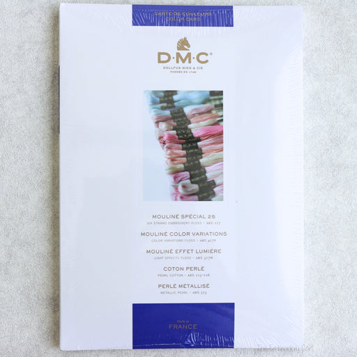DMC Stranded Cotton Shade Card W100B